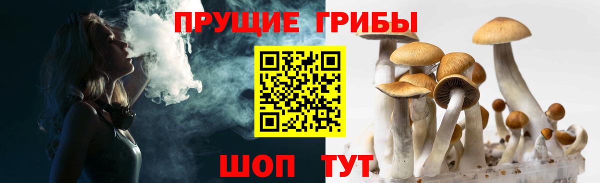 Галлюциногенные грибы мухоморы  Вход с VPN  Клин 